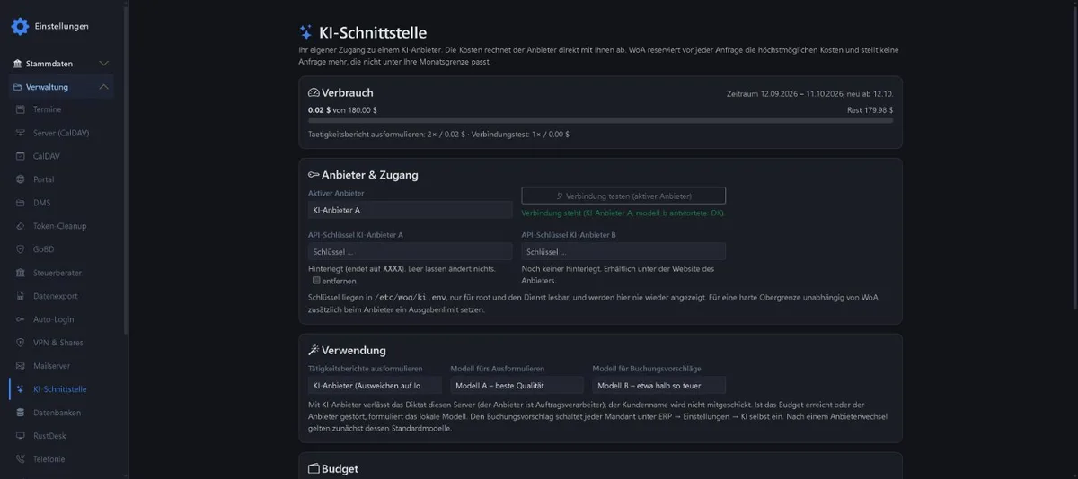 AI interface page with usage, provider and access, a successful connection test and use settings